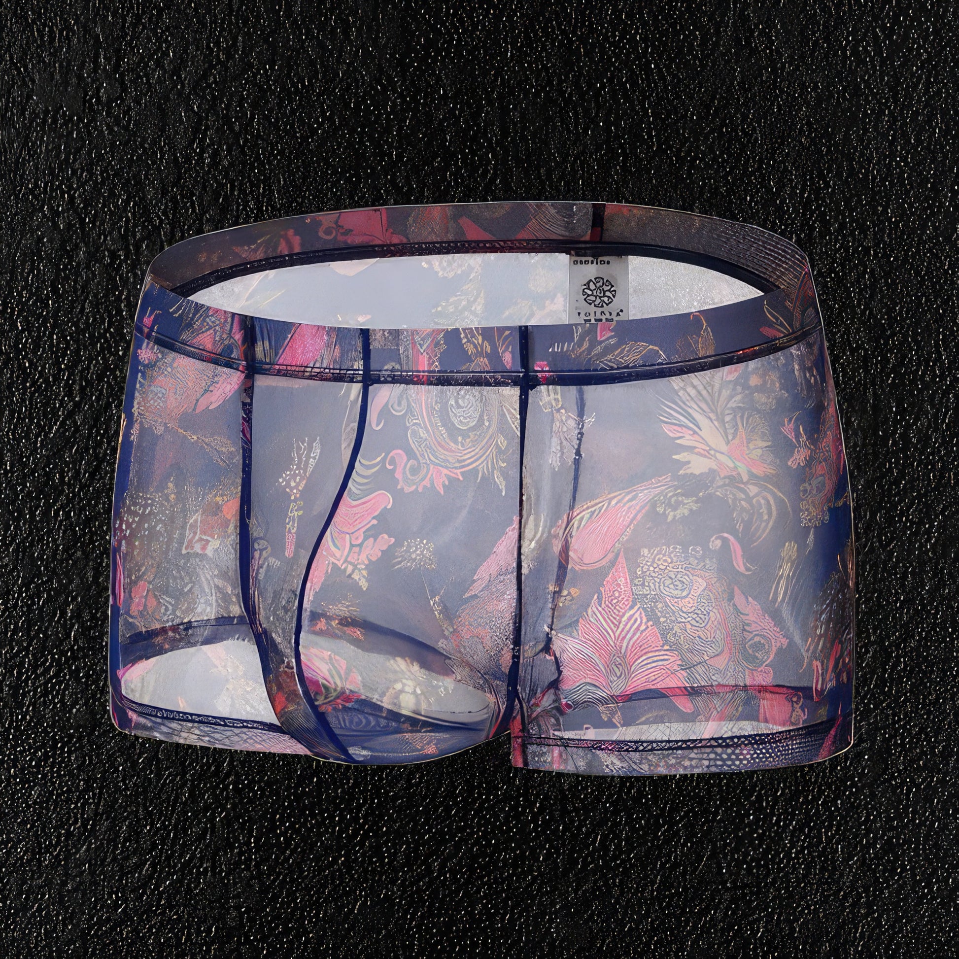 See Through Transparent Underwear